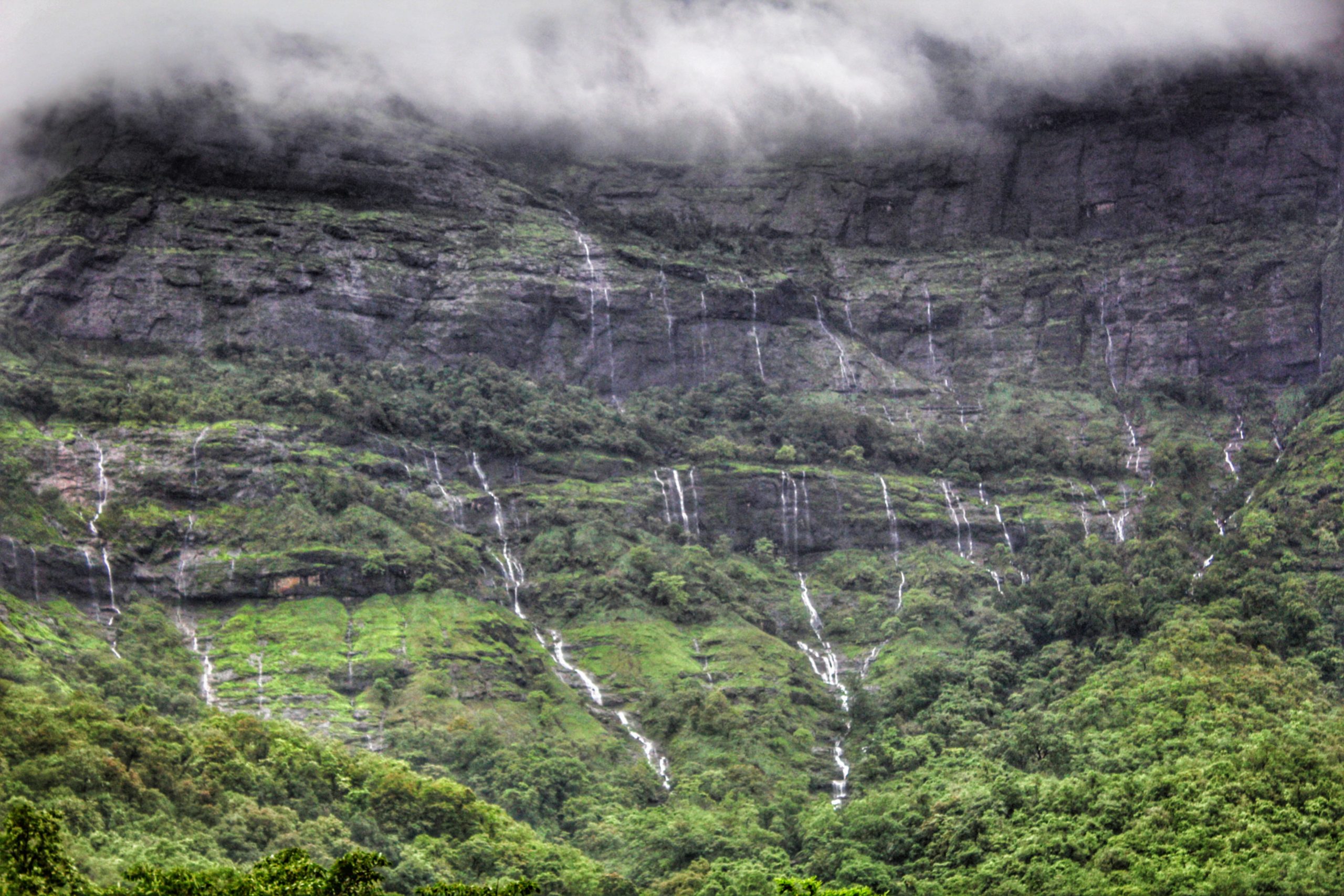 A Road Trip to Malshej Ghat!